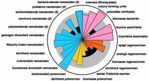 amoebe-diagram.gif