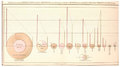 first-pie-chart.jpg