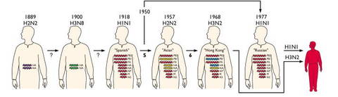 pandemic-influenza.jpg