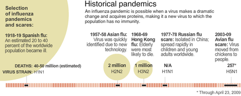 swine_flu-1.jpg