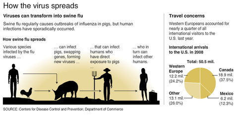 swine_flu-2.jpg